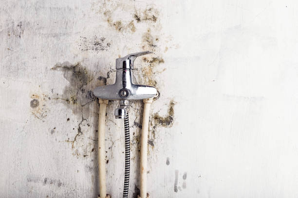 Best Water Damage Restoration  in Central City, IL