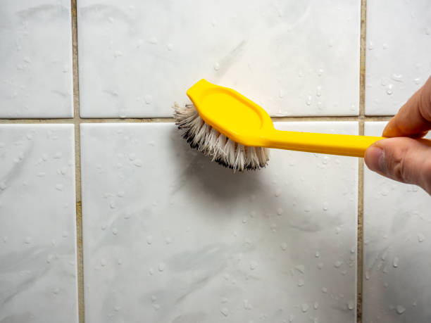 Best Professional Mold Removal  in Central City, IL